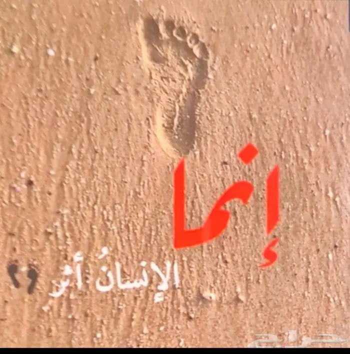 استشارات قانونية 0