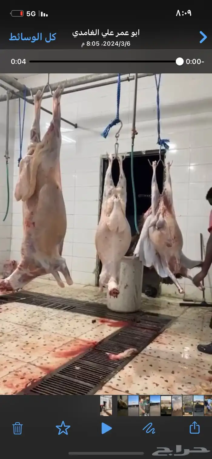 طليان جبره ذبايح المناسبات والثلاجة كاش واقساط من المتجر 5