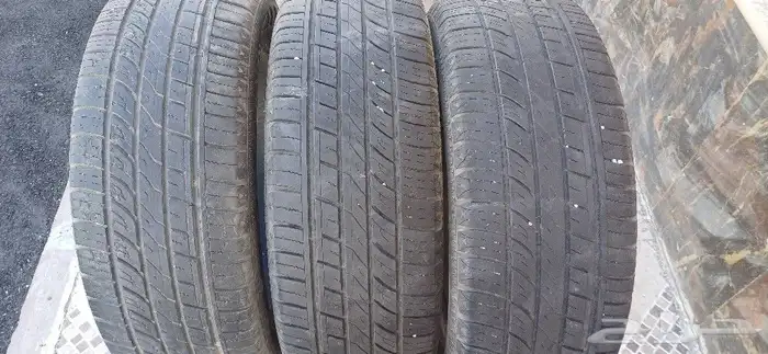 كفرات جيب صيني نظيفة 14