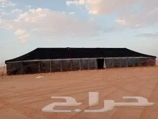 تركيب عقود كويتي تاجير كراسي بيوت شعر خيام قهوجيه رجال ونساء 7