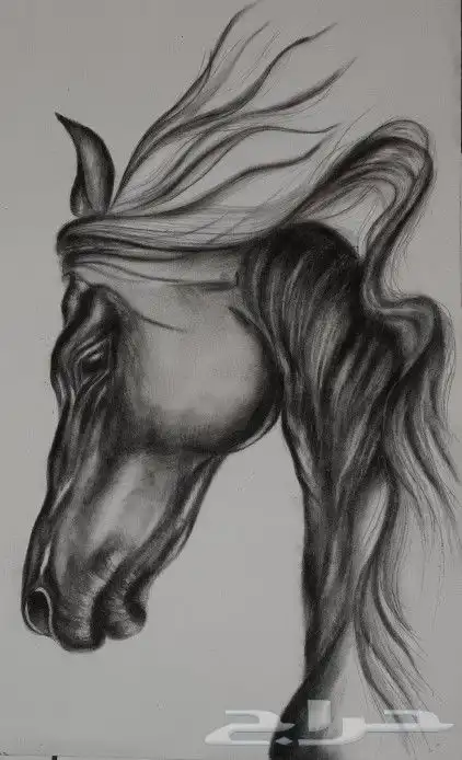 لوحات فنية رسم 0