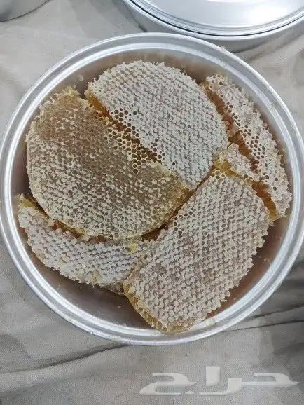 عسل سدر العرضيات نمره 3