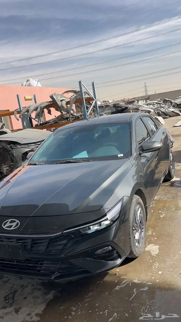 النترا 2024 2025 1