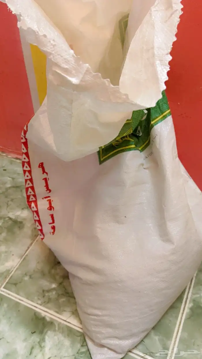 القنفذة  القوز 1