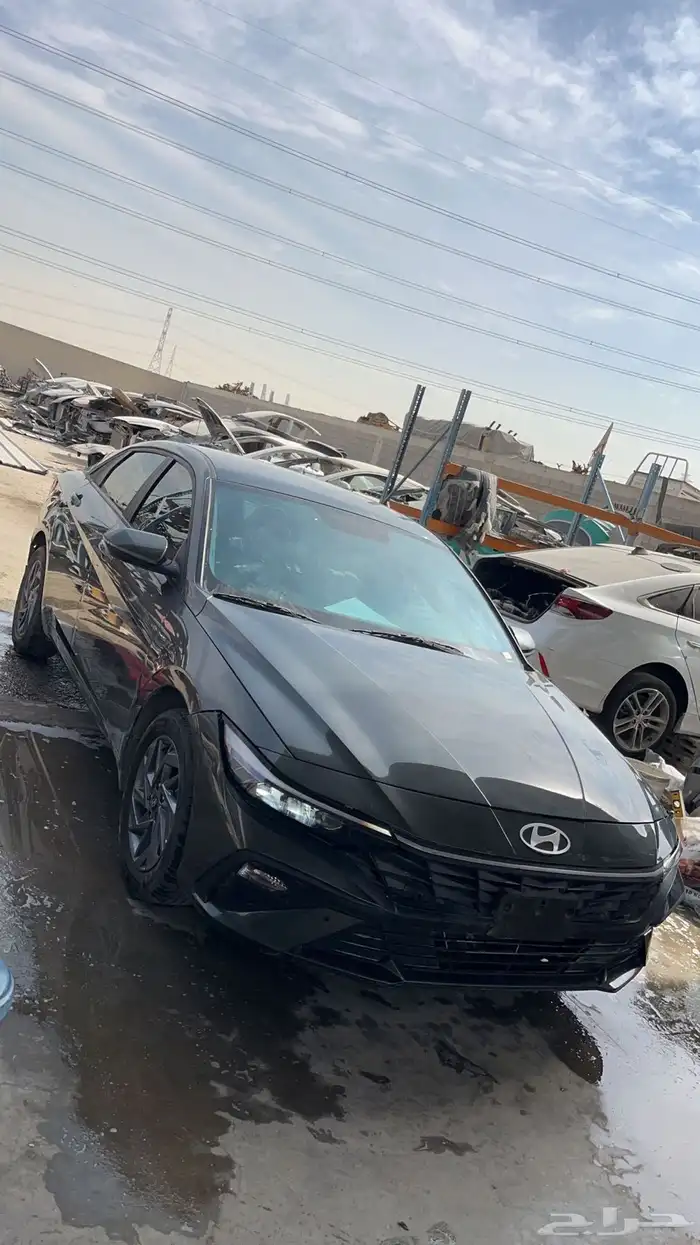 النترا 2024 2025 0