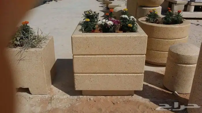 صبيات نيوجيرسي زينة حدائق قواعد إنارة 5