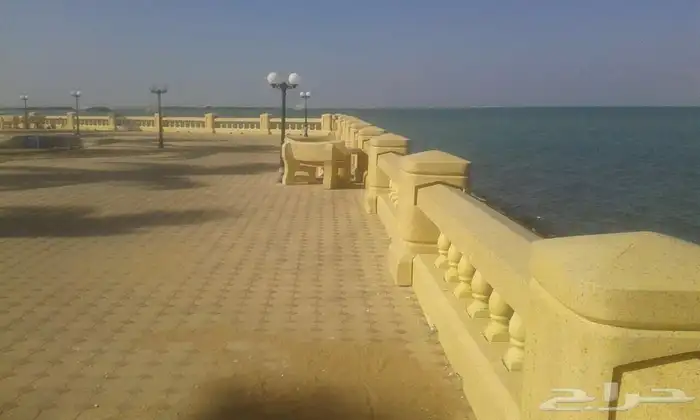 صبيات نيوجيرسي زينة حدائق قواعد إنارة 11