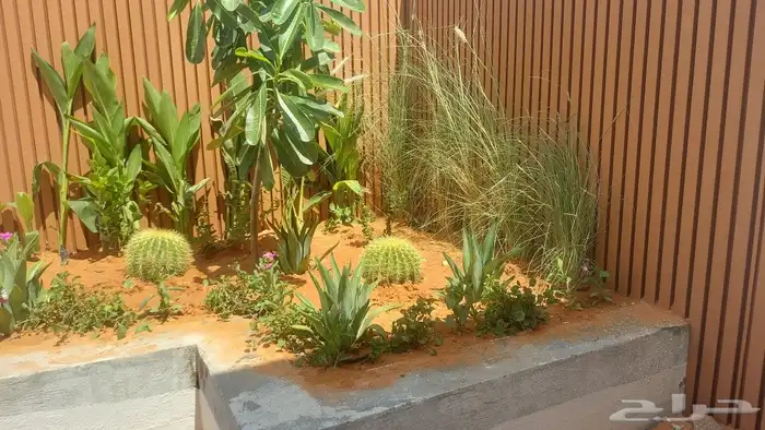 تنسيق حدائق 0