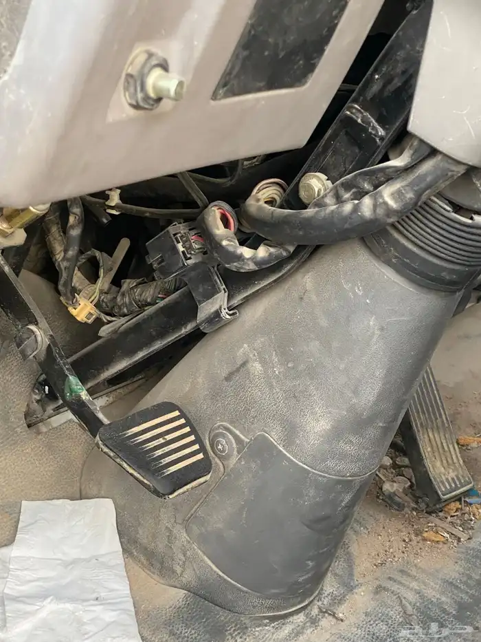 دينا جاك 2013 على السوم بالعام مكينه مخبطه 8