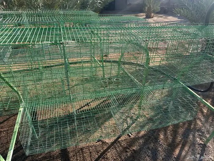 اقفاص طيور و بطاريات ارانب 8عيون 8
