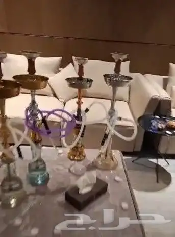 تاجير شيش مع كامل اغرضه باليومي 0