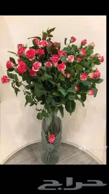 هدايا ابها خميس مشيط احد رفيدة سراه عبيده الواديين 5