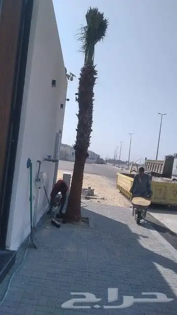 مشتل وتنسيق حدائق بالدمام 2