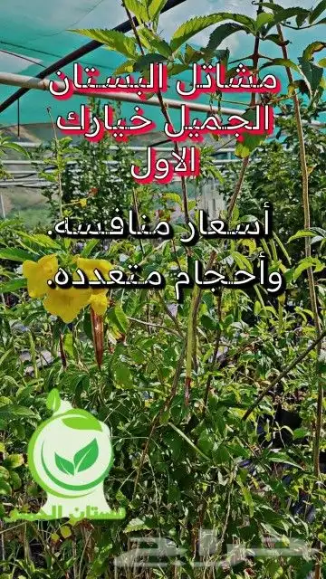 زراعة حدائق وتركيب أنظمة ري زراعي للمزارع والحدائق المنزليه 4