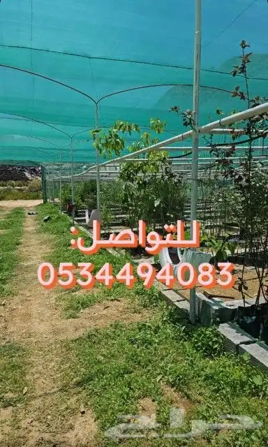 زراعة حدائق وتركيب أنظمة ري زراعي للمزارع والحدائق المنزليه 5