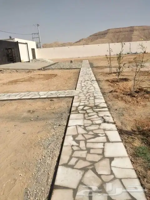 حجر عشوائي 3