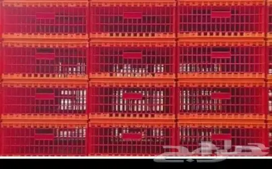 شبك دجاج اصفر لنقل الدجاج والطيور بيع جمله 5