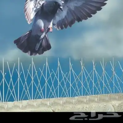 طاردالحمام تركيب تبوك index