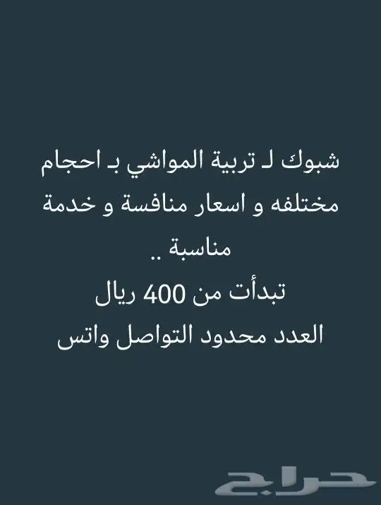 شبوك ايجار باليوم بالشهر و السنة 0