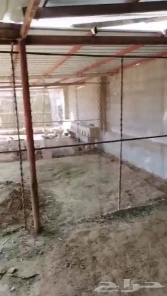 شبوك ايجار باليوم بالشهر و السنة 3