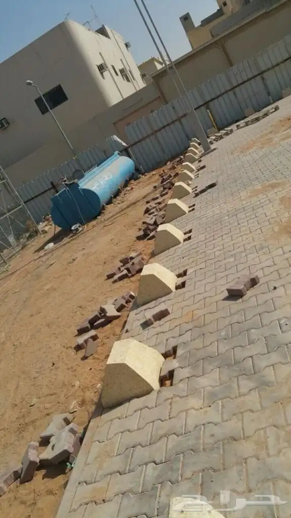 صبيات نيوجيرسي زينة حدائق قواعد إنارة 19