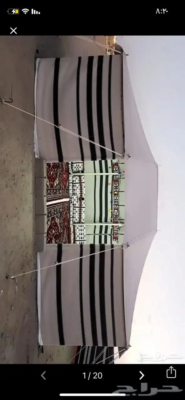 خيام وبيوت شعر 11