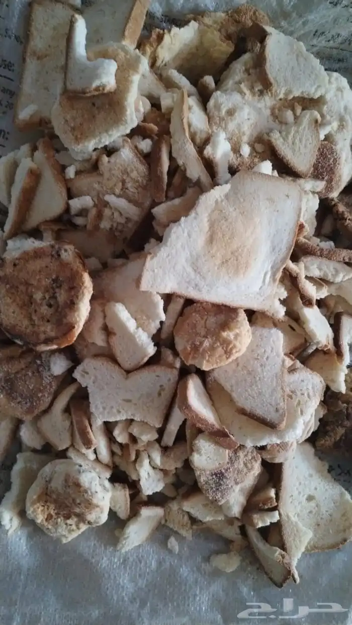 خبز فاخر همبرقر وتوست 2