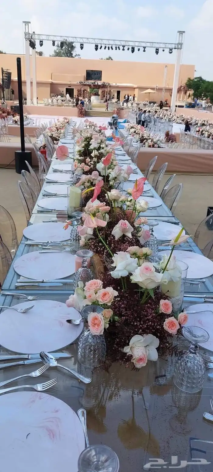 كوشات أفراح زوجات كراسي طاولات طعام VIP 5
