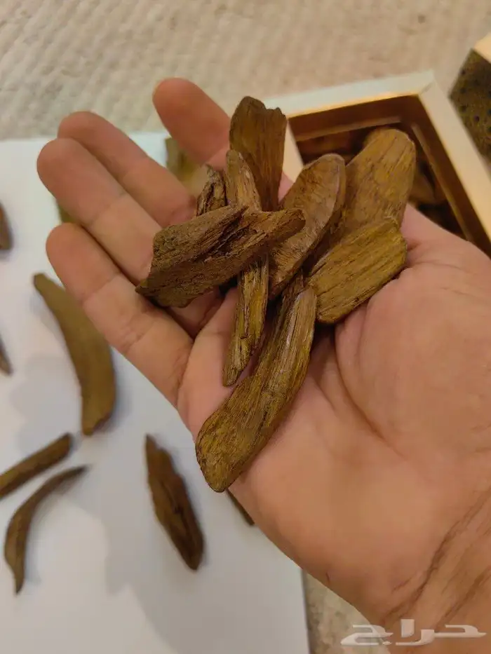 مروكي طبيعي بسعر جميل جدا 2