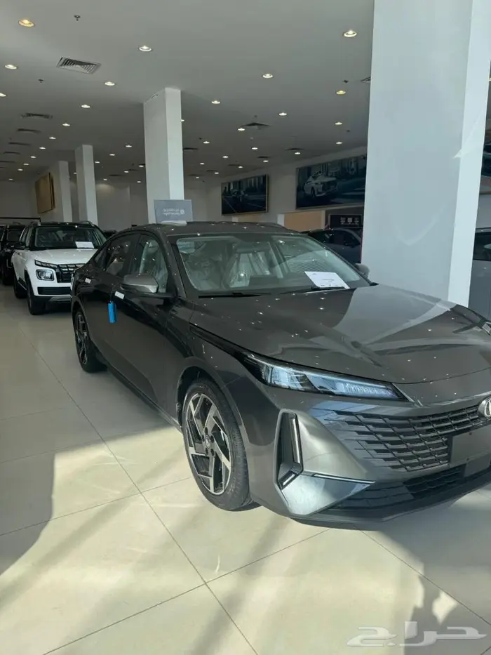 شنجان ايدو ترند 2025 0