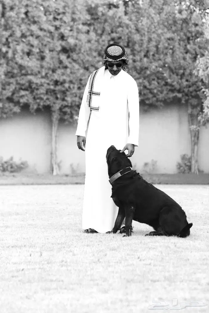 مصور الرياض تصوير منتج صور بروفايل 67