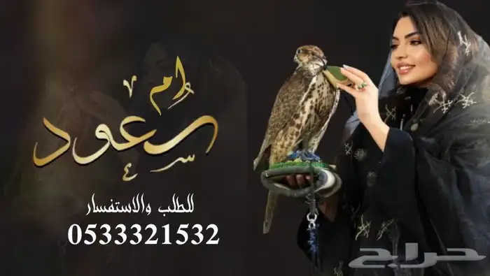 منشد شيلات شاعر جزل 0