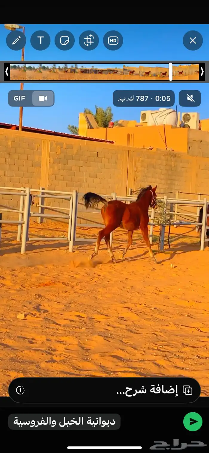 مهر واهو (( تم البيع )) 2