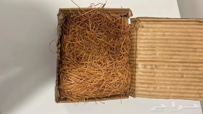 ابريق هندي 6