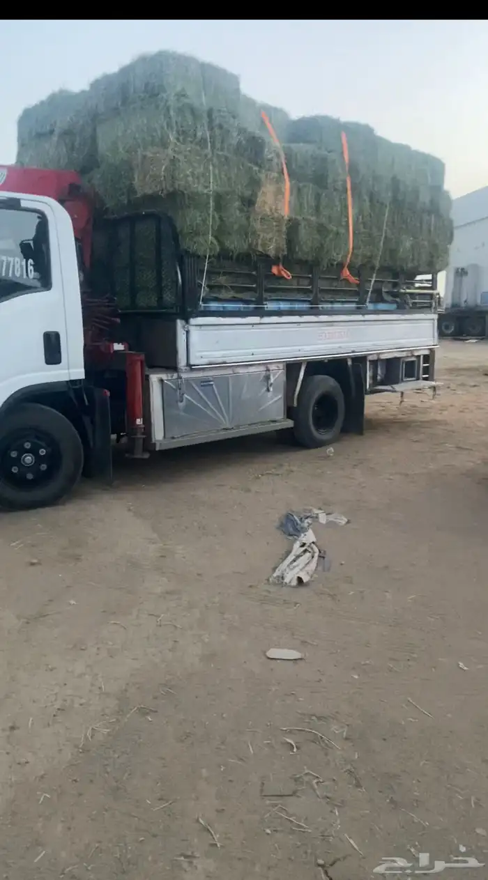 دينا ونش مشاوير الابل داخل تبوك وخارجها 2
