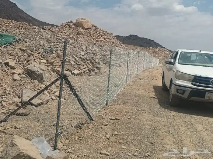 تقطيع الأشجار وازالتها من جذورها 10