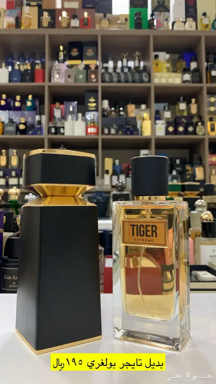 عطور المكافح السعودي 81