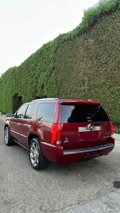 CADILLAC ESCALADE 2009 3