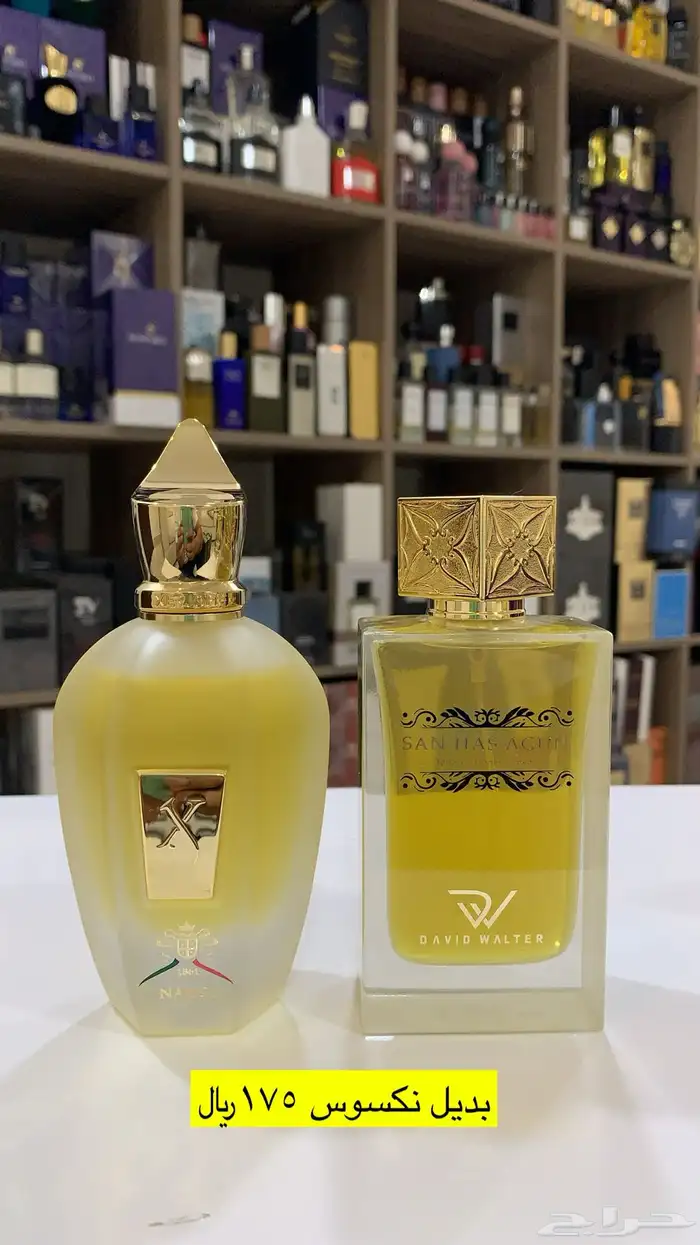 عطور المكافح السعودي 59