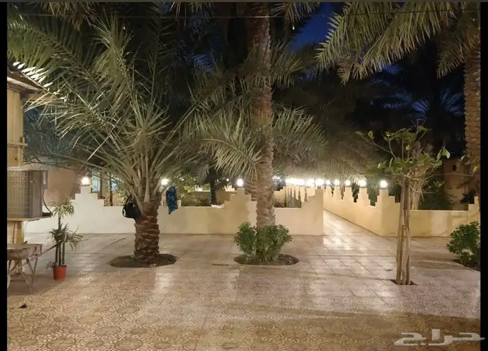 مزرعة للبيع بالأحساء الهفوف السيفة 0