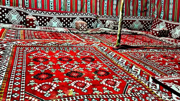 مخيم الفخامه نفوذ سعد للإيجار 41