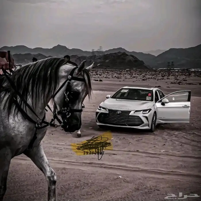 توصيل من الطائف الى الرياض والدمام 0