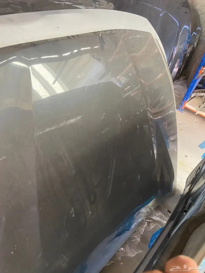 كبوت كادينزا 2014-2015-2016 3