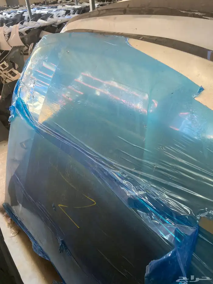 كبوت كادينزا 2014-2015-2016 5