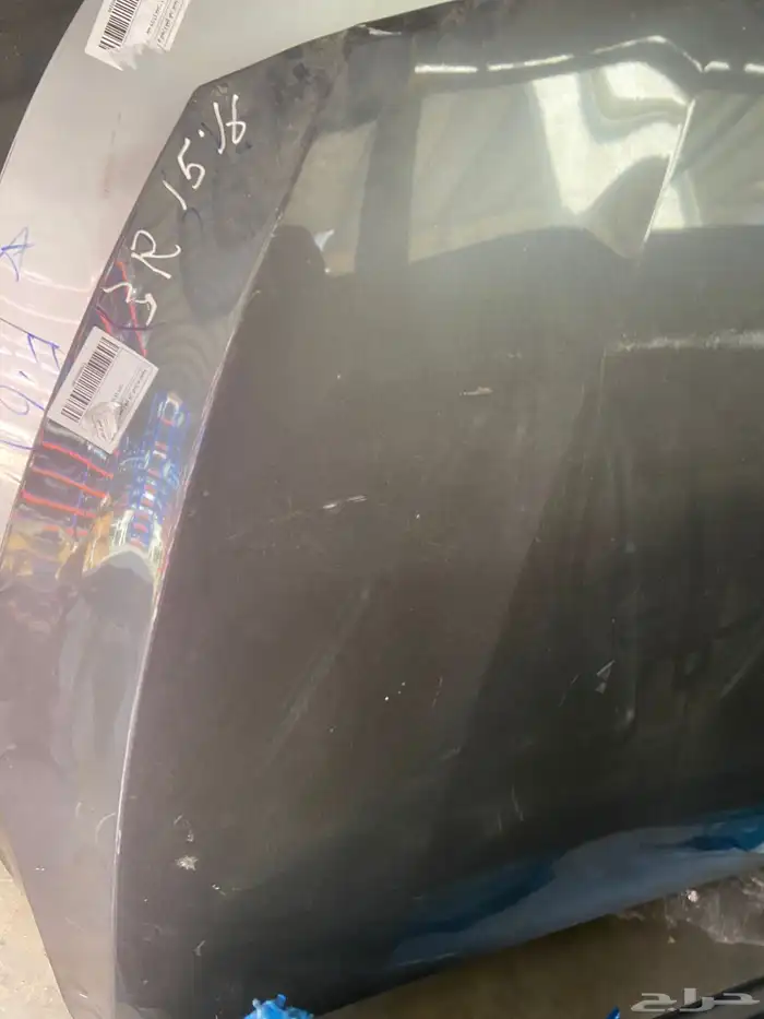 كبوت كادينزا 2014-2015-2016 2