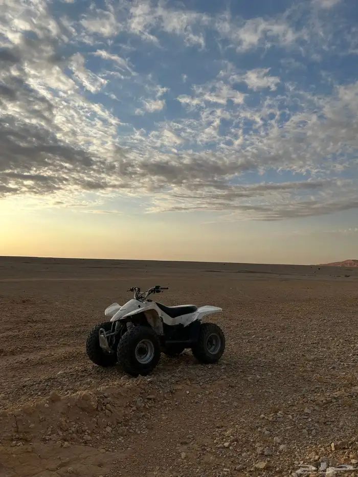 دباب سوزوكي 50 للبيع 0