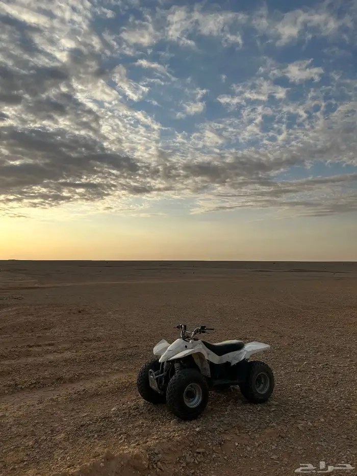 دباب سوزوكي 50 للبيع 1