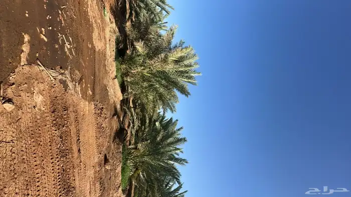 مزرعة للايجار 0