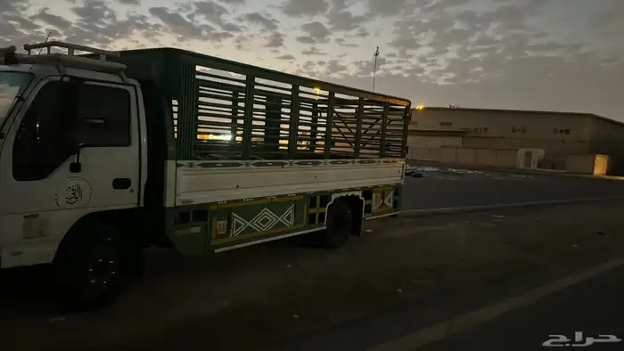 دينا 1