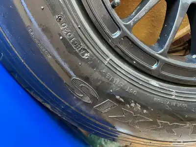 جنوط برايد عليها بوالين 6